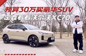 换车必看！30万预算，选品牌还是选生活？