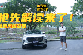 全维度聊透全新岚图知音：预售22万起，比Model Y更推荐？