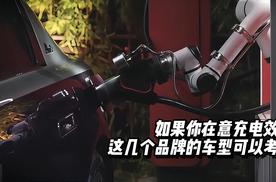 如果你在意充电效率，这几个品牌的车型可以考虑