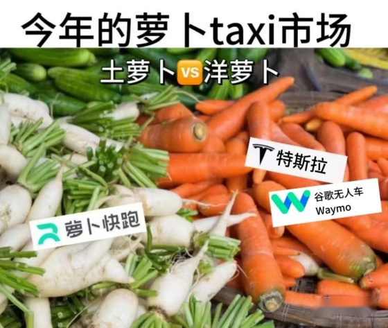 当“土萝卜”撞上“洋萝卜”，特斯拉与萝卜快跑谁会笑到最后？