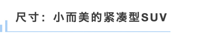 smart能走的路，极氪行不行?