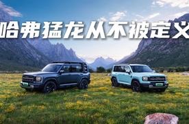车可以标准化量产 但人生可以千姿百态哈弗猛龙从不被定义