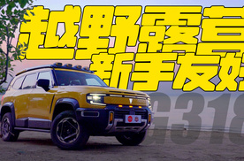 G318无忧穿越版越野露营新手引路车