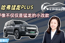 哈弗猛龙PLUS，好像不仅仅是猛龙的小改款