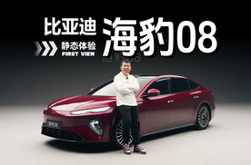 5米15旗舰！海豹08抢先实拍