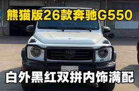 26款加版奔驰G550熊猫配色满配