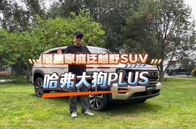 从行业视角看，哈弗大狗PLUS的推出，给泛越野 SUV 市场带来的新变化