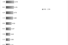 2025年第32周新能源车销量：特斯拉/五菱逆势上涨，小鹏反超问界