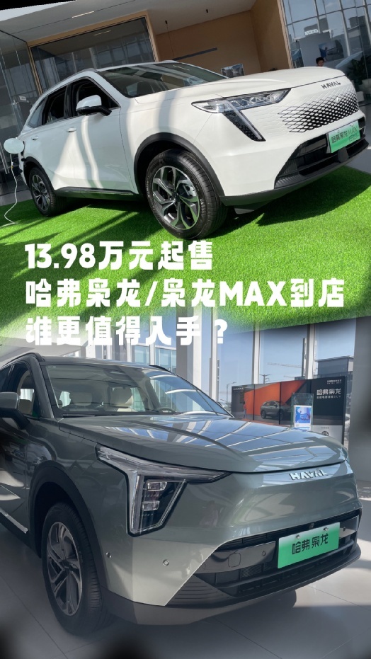 13.98万元起售，哈弗枭龙/枭龙MAX到店，谁更值得入手？