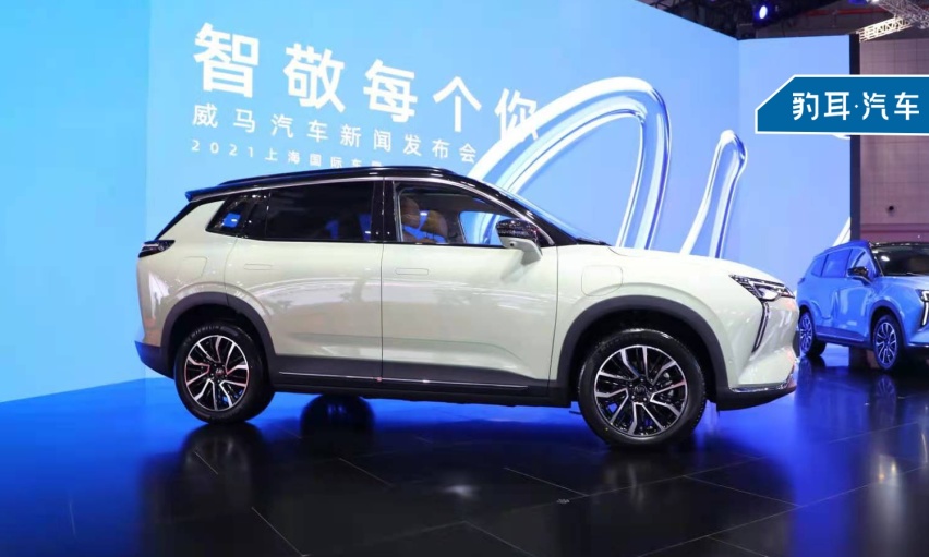 威马W6你有什么特色，让我多看你一眼？