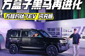 方盒子黑马再进化 能否继续霸榜？