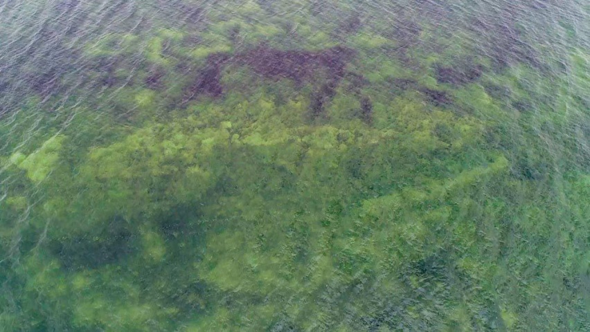 坦克300环青海长测Day6：打卡最美双色湖 这样的景色令人流连忘返！