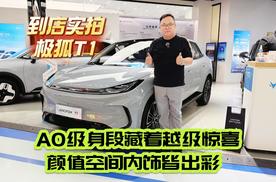 新车｜A0级身段藏着越级惊喜颜值空间内饰皆出彩 到店实拍极狐T1