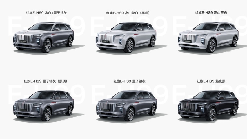 中国品牌最有气场的纯电动SUV，红旗E-HS9购车手册