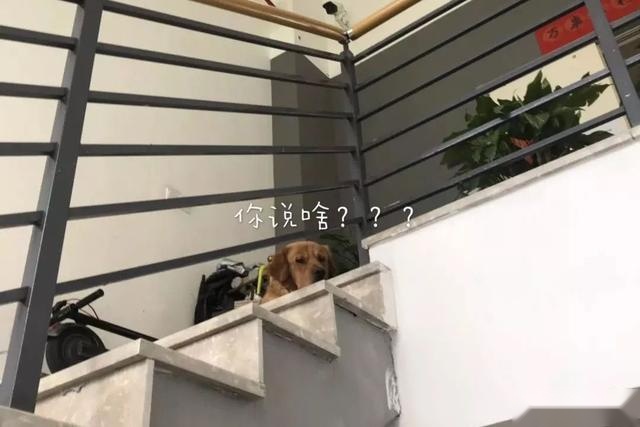 8万落地的四缸英朗，配置甩飞度十条街？