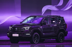 全新坦克400 上市24.98万元起