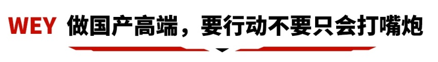 放弃合资车标选了这些车，只因它们才是全村的希望！