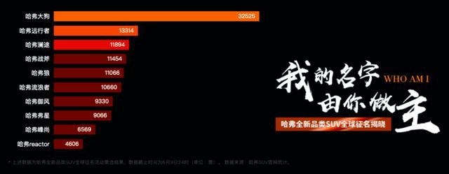 哈弗大狗来了,取奇名必有奇事,论细分领域的先行者