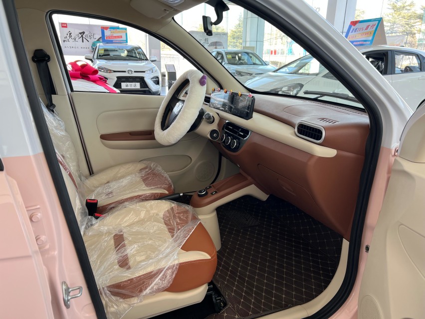 一个被严重低估的电车品牌，家庭标配代步车，小虎新能源选哪款？