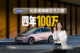复盘比亚迪海豚四年百万之路