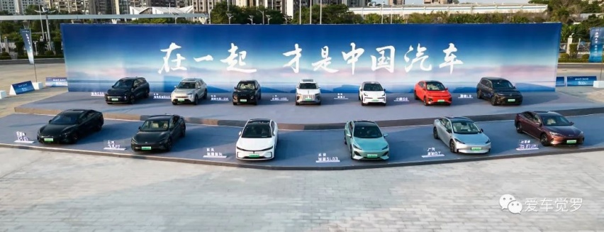 当特斯拉由鲇鱼变成鲨鱼，最终成为了一头巨齿鲨······