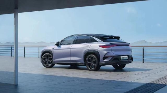 狮力豹发 海狮07EV 海豹06 DM-i驾享体验石家庄站