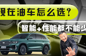 国产车好不好，不是价格说了算的？