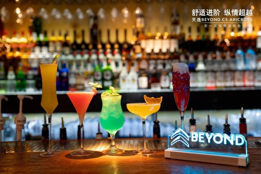 天逸BEYOND C5 ARICROSS预售发布会安徽站标配即豪华