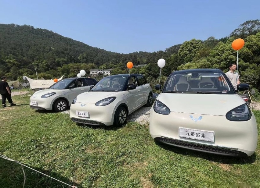 油车、电车一块儿卷，五菱缤果再出圈，仅两周销量便破万辆