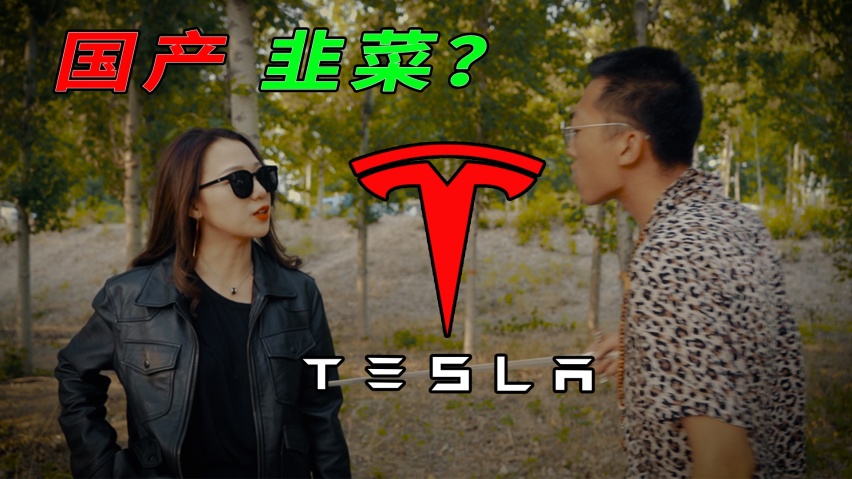 等等再买，明天更便宜！国产特斯拉真的行吗？