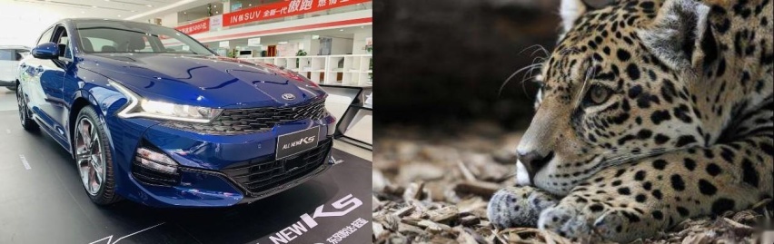 【实拍揭秘】起亚的变革之作？9月上市的新K5，值得等吗？