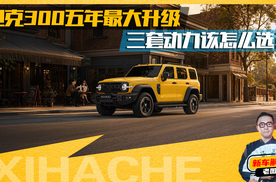 全新坦克300年轻人的大玩具，到底有多能打