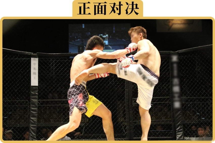 一汽丰田和广汽丰田，谁更强
