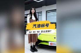 兰博基尼竟然也喝95的油！