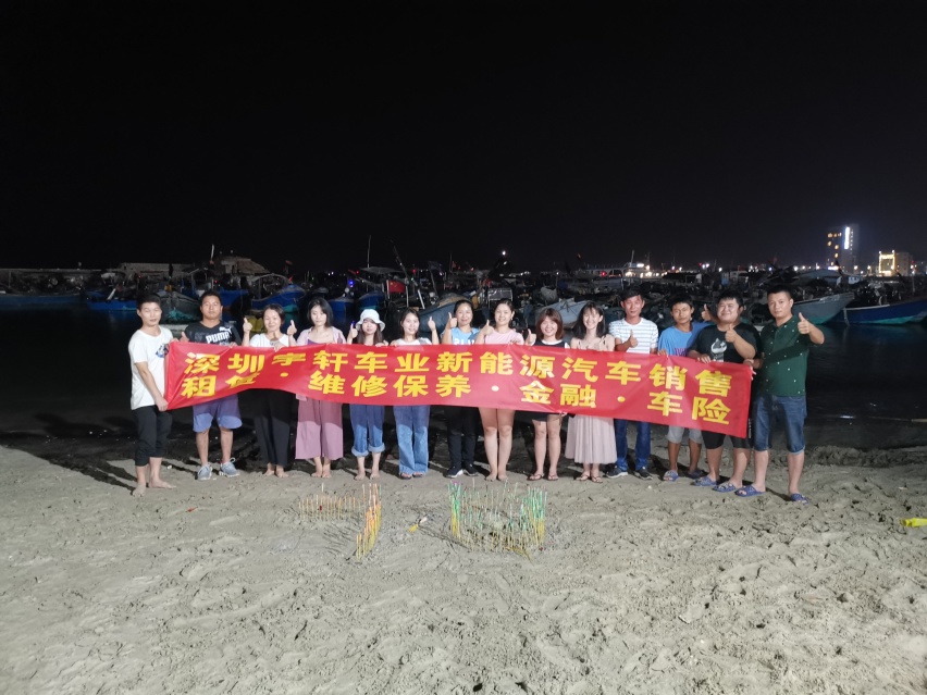 新能源汽车 纯电动面包车  新能源货运车 纯电动物流车 帅客