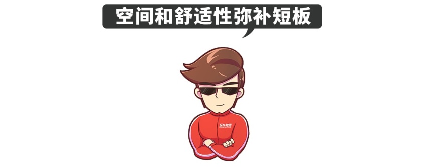 越骂越火，这些10来万的车什么来头？