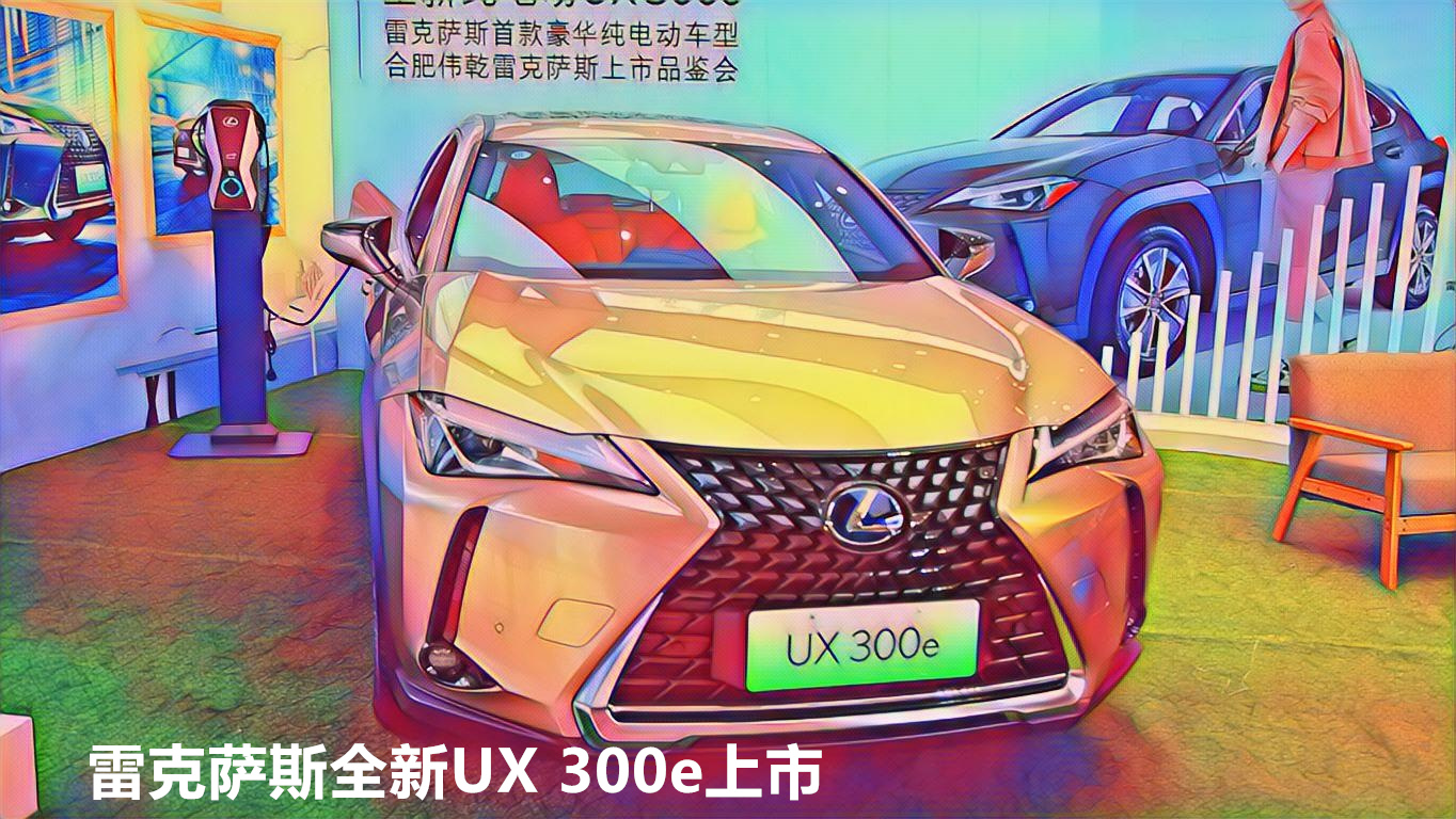 �׿���˹ȫ��UX 300e����