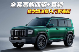 哈弗猛龙燃油版硬派上市：全系高能四驱+真锁
