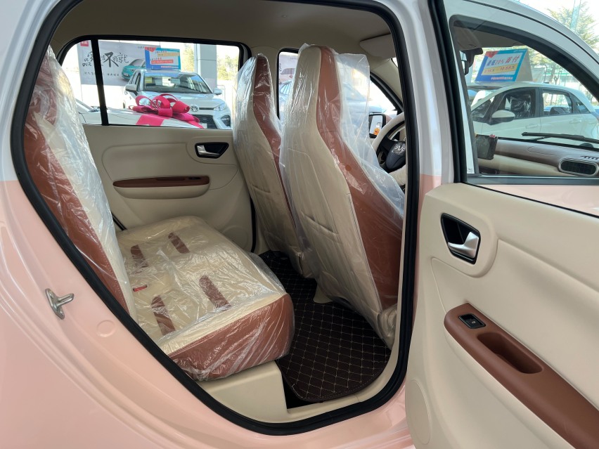 一个被严重低估的电车品牌，家庭标配代步车，小虎新能源选哪款？