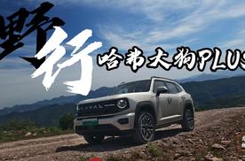 野行：哈弗大狗PLUS带你征服“大石头”