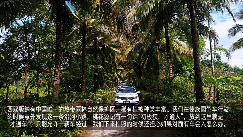吉利幸福花田测和初恋的夏天—彩云之南西双版纳