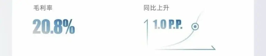 势如破竹！解读《比亚迪2024年第三季度财报》中的关键“元素”