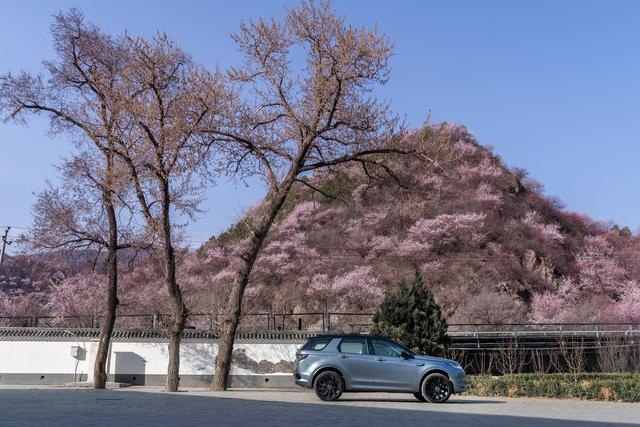 新车｜春天花会开 升级如换代 80君试驾奇瑞路虎发现运动版