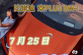 新晋贵族 深蓝 S07 VS 比亚迪宋PLUS DM-i