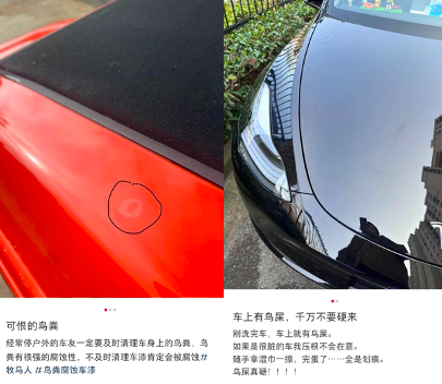 智博士小课堂|鸟粪对汽车漆面伤害很大，车主需谨慎对待