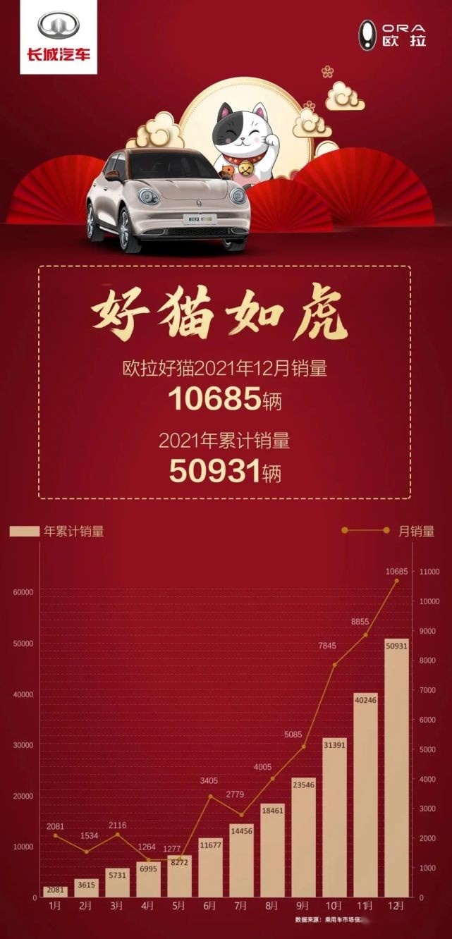 全网的宠物都回家过年了，你也牵只“小老虎”回家吧！