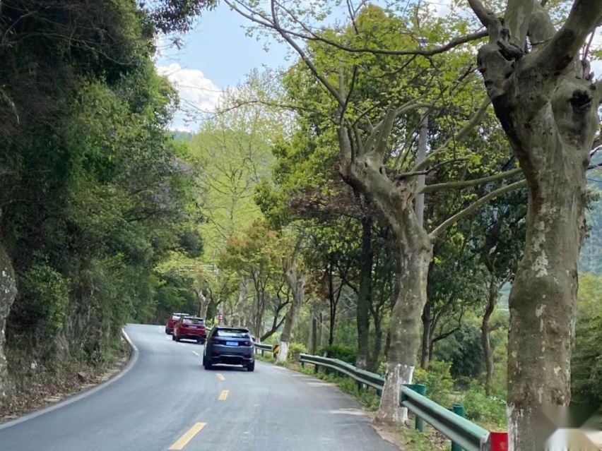 试驾路虎发现运动版：跑山路行云流水，极限越野很强悍