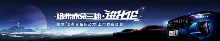 哈弗赤兔两款新动力车型上市，售价9.98万元起