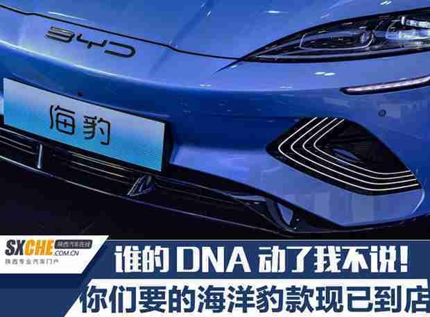 比亚迪海豹现身西安人气旺！堪比明星见面会