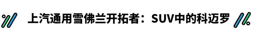 标配2.0T+8AT，豪华SUV不到25万起！这些全新SUV